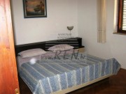 Kuća - Novigrad (01361)