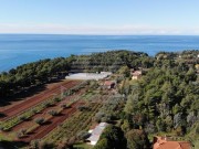 Građevinsko zemljište - Umag (00035)