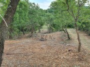 Građevinsko zemljište - Buje (01431)