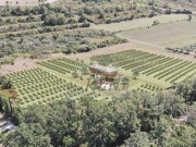 Poljoprivredno zemljište - Buje (04012)