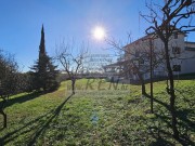 Kuća - Novigrad (00241)