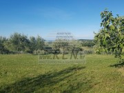 Građevinsko zemljište - Buje (00091)