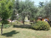 Istarska kuča - Novigrad (00022)