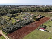 Poljoprivredno zemljište - Novigrad (01389)