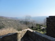 Istarska kuča  - Buje (01364)