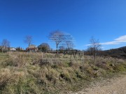 Građevinsko zemljište - Buje (01652)