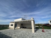 Vila - Novigrad (00129)