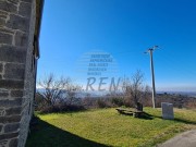 Istarska kuča - Buje (01482)