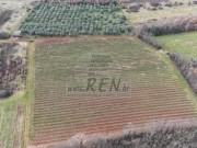 Poljoprivredno zemljište - Brtonigla (00461)