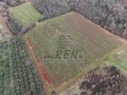 Poljoprivredno zemljište - Brtonigla (01933)